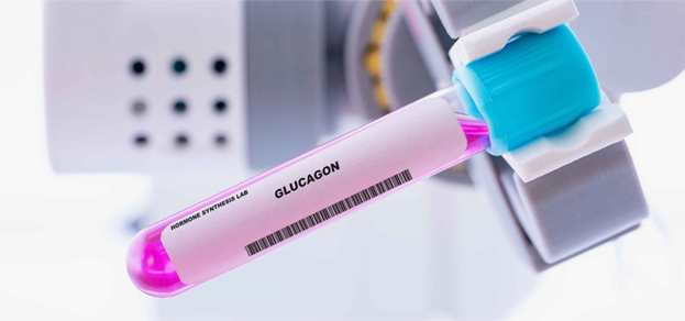 글루카곤(Glucagon)